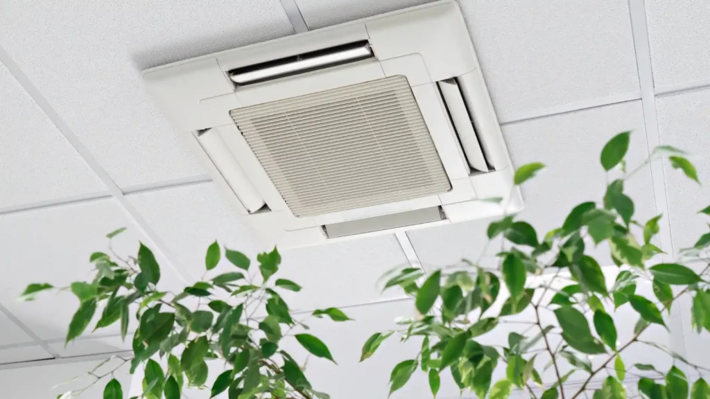 Indoor Air Quality service